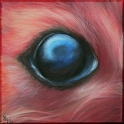 Augenblick eines Mauswiesels Acryl auf Leinwand;
30 x 30 cm